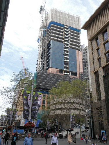 P1002046.jpg