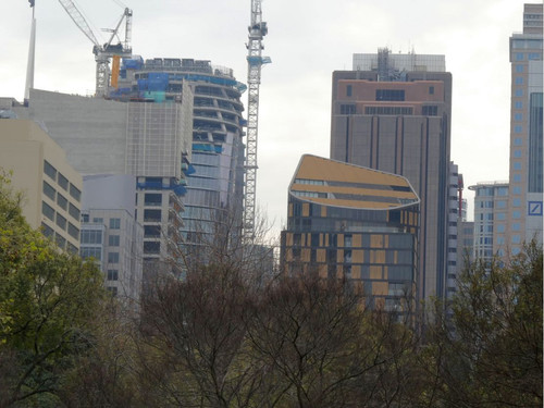 P1002042.jpg