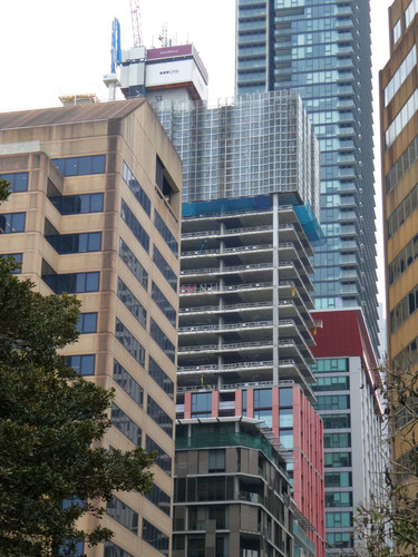 P1002041.jpg