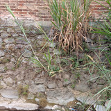 IMG 20230816 170833