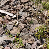 Track d493da18 150d 4cef 8bae b71c7f42752d