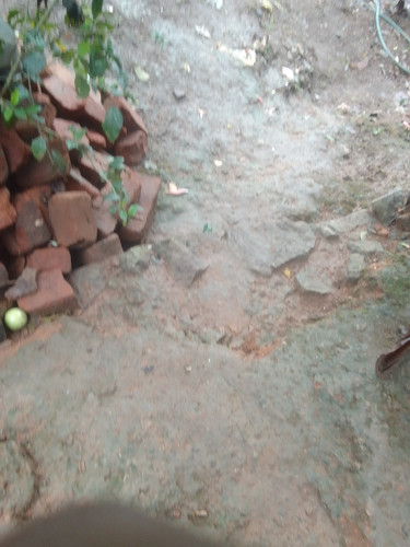 IMG 20230904 095519.jpg