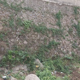 IMG 20230816 133616
