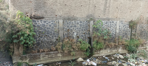 IMG 20230816 150121.jpg