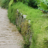 Sungai Ciwidey