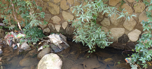 IMG 20230816 114654.jpg