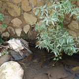 IMG 20230816 114654