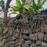 IMG 20230816 165319