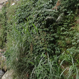 IMG 20230816 160217
