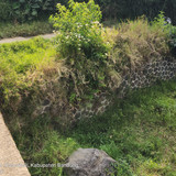 Sungai Ciwidey