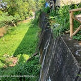 Sungai Ciwidey