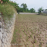 Sungai Cilamaya Bagian Kanan