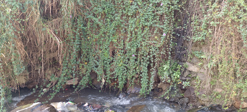 IMG 20230816 103638.jpg