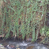 IMG 20230816 103638