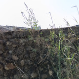 IMG 20230816 102753