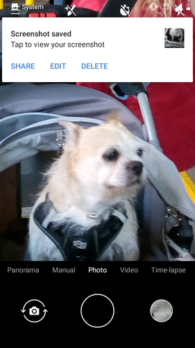 Screenshot 20220812 171125.png