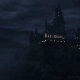 IMG 8414.gif