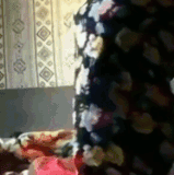 capd3dgjiqchagjj5r28129.gif