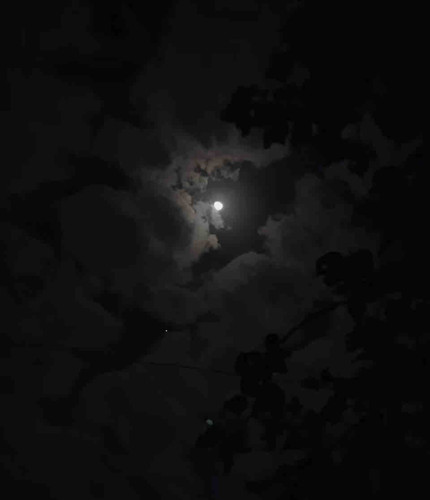 9643370A AD91 4E0B 8FC9 9606A60CB31F.jpg