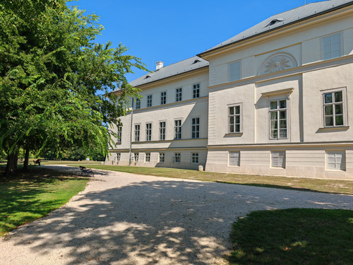 IMG 20230909 115934.jpg