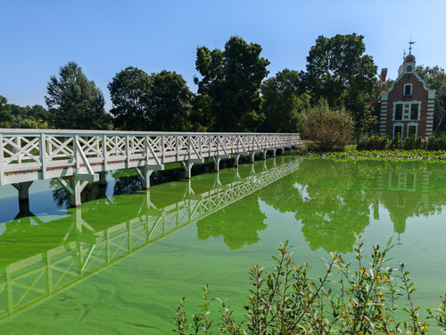 IMG 20230909 121128.jpg