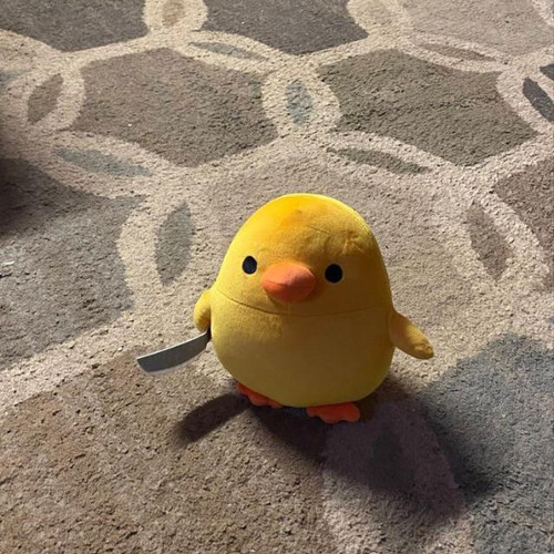 image.jpg