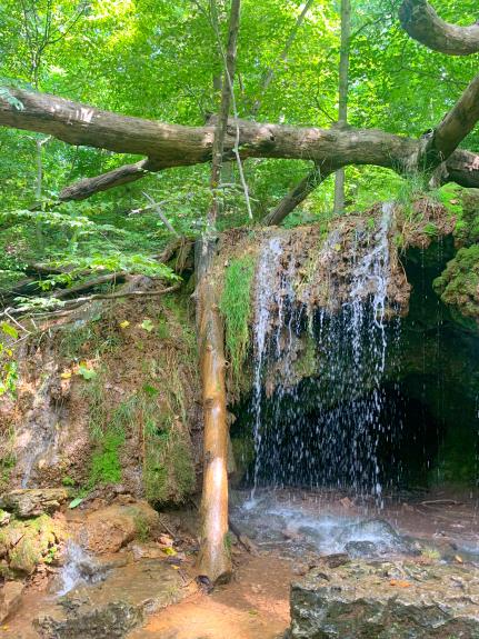 4D860675 D10E 4761 9888 1AEB2CC337E7.jpg