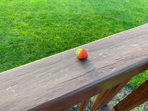 06EC4324 10DF 4262 8290 4E77895E7C1B.jpg