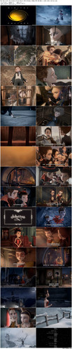 The.Boy.with.the.Cuckoo Clock.Heart.2013.BluRay.1080p.DTS HD.MA5.1.x265.10bit BeiTai preview.jpg