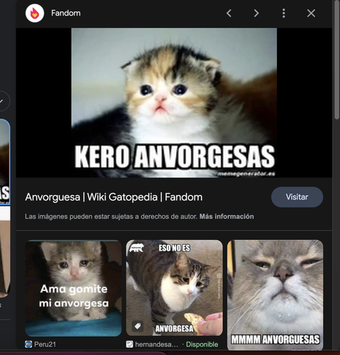 Screenshot 2023 09 03 at 17.18.29.png