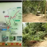 00012 藤坪古道可通往猿山