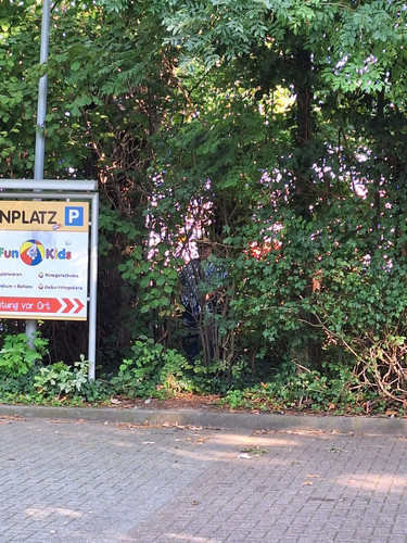 Pin64.jpg