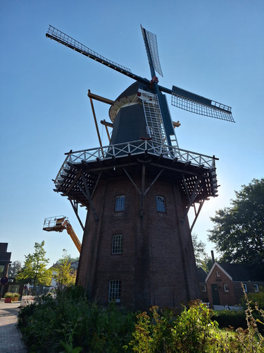 Pin65.jpg
