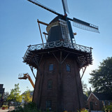 Pin65