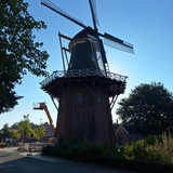 Pin61