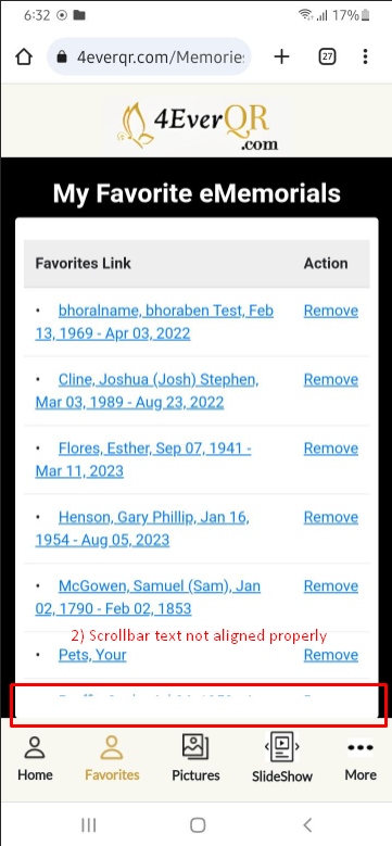 Screenshot 49.png