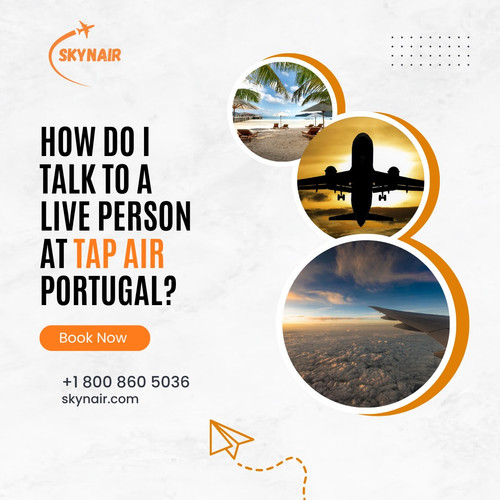 How Do I Talk To A Live Person At Tap Air Portugal.jpg