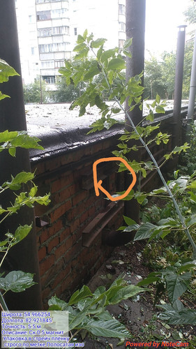 IMG 20230908 214114.jpg