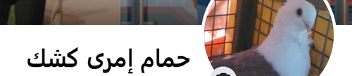 Skermknipsel 2023 09 11 114725.png