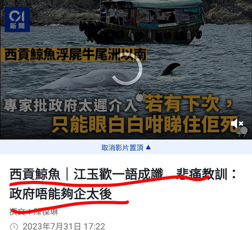 iMarkup 20230911 185922.jpg