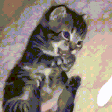 kot1.gif