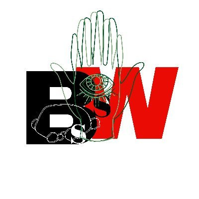 Black Stone White Stone.jpg