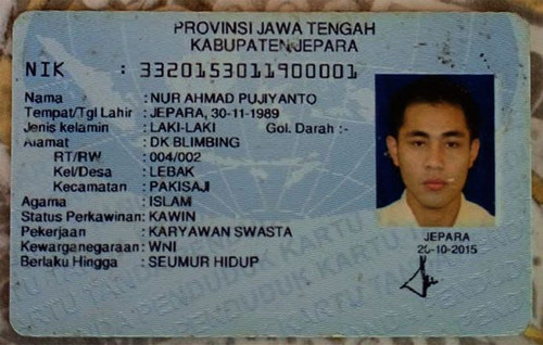 NUR AHMAD PUJIANTO.jpg