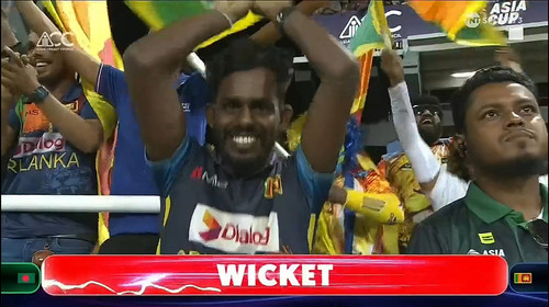 Lankan Fan Celebration.jpg