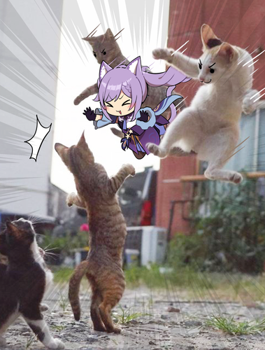 111581312 p0.png
