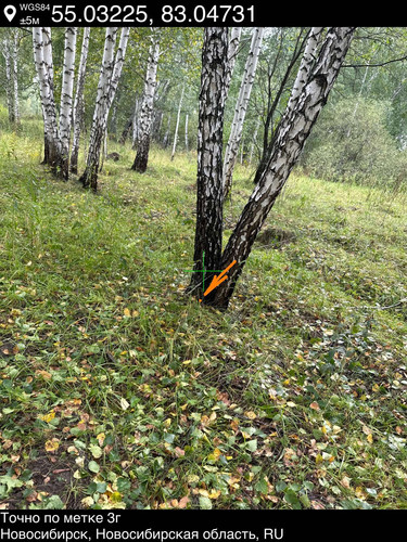 4..jpg