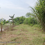 Sungai Cilamaya Bagian Kanan