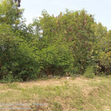 Sungai Cilamaya