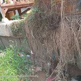 Sungai Cilamaya