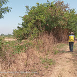 Sungai Cilamaya